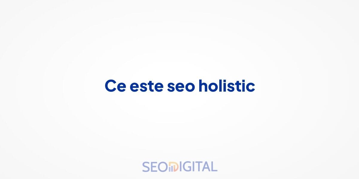 Ce este seo holistic